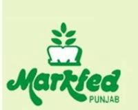 ਮਿਲਕਫੈੱਡ ਪੰਜਾਬ ਵੱਲੋਂ ਦੁੱਧ ਦੀ ਖਰੀਦ ਕੀਮਤ ਵਿੱਚ ਵਾਧਾ