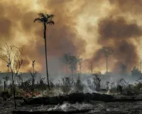 ਜੰਗਲਾਂ ਨੂੰ ਅੱਗ ਲਗਾਈ ਤਾਂ ਖੈਰ ਨਹੀਂ: ਪ੍ਰਸ਼ਾਸਨ ਹੋਇਆ ਸਖ਼ਤ