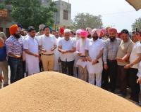 ਪੰਜਾਬ ਸਰਕਾਰ ਕਣਕ ਦੀ ਫ਼ਸਲ ਦਾ ਇੱਕ-ਇੱਕ ਦਾਣਾ ਪੂਰੇ ਭਾਅ ਉੱਪਰ ਖ਼ਰੀਦਣ ਲਈ ਵਚਨਬੱਧ : ਕਟਾਰੂਚੱਕ