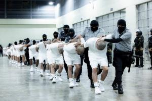 ਨਹੀਂ ਟਲਿਆ ਟਰੰਪ ! 261 ਹੋਰ ਗ਼ੈਰ-ਕਾਨੂੰਨੀ ਪ੍ਰਵਾਸੀਆਂ ਨੂੰ ਟਰੰਪ ਨੇ ਕੱਢਿਆ ਬਾਹਰ