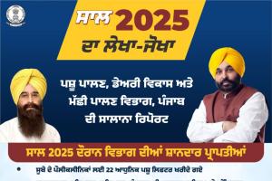 ਹੜ੍ਹਾਂ ਦੌਰਾਨ ਪਸ਼ੂਧਨ ਦੀ ਸਲਾਮਤੀ ਲਈ ਡਟਿਆ ਰਿਹੈ ਪਸ਼ੂ ਪਾਲਣ ਵਿਭਾਗ, 3.19 ਲੱਖ ਤੋਂ ਵੱਧ ਪਸ਼ੂਆਂ ਦਾ ਮੁਫ਼ਤ ਕੀਤਾ ਇਲਾਜ