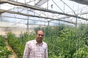 ਖੇਤੀ ਵਿਭਿੰਨਤਾ ਨੂੰ ਉਤਸ਼ਾਹਿਤ ਕਰਨ ਲਈ ਕਿਸਾਨਾਂ ਨੂੰ ਦਿੱਤੀ ਜਾਵੇਗੀ ਵੱਖ- ਵੱਖ ਸਕੀਮਾਂ ਅਧੀਨ ਵਿੱਤੀ ਸਹਾਇਤਾ