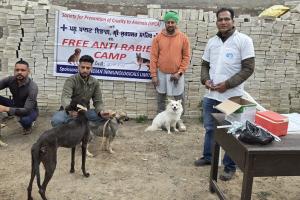 ਹਲਕਾਅ ਤੋਂ ਬਚਾਅ ਲਈ ਕੁੱਤਿਆਂ ਨੂੰ ਕੀਤਾ ਗਿਆ ਮੁਫਤ ਟੀਕਾਕਰਨ   