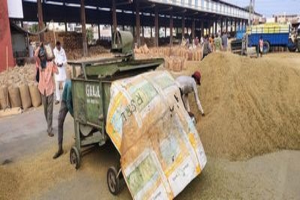 ਹਰਿਆਣਾ ਦੀਆਂ ਮੰਡੀਆਂ 'ਚ 'ਕੱਚੀ ਪਰਚੀ' ਹੋਵੇਗੀ ਖਤਮ, High Court ਦੇ ਸਖ਼ਤ ਹੁਕਮ!