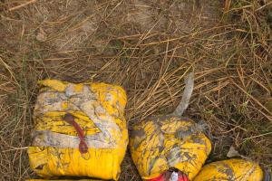 ਅੰਮ੍ਰਿਤਸਰ ਵਿੱਚ 20 ਕਿਲੋਗ੍ਰਾਮ ਹੈਰੋਇਨ ਬਰਾਮਦ, ਮੁੱਖ ਸੰਚਾਲਕ ਸਮੇਤ ਚਾਰ ਮੁਲਜ਼ਮ ਗ੍ਰਿਫਤਾਰ