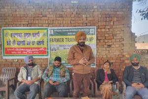 ਤੇਲ ਬੀਜ ਦੀ ਮਹੱਤਤਾ ਅਤੇ ਮੰਗ ਦੀ ਪੂਰਤੀ ਲਈ ਤੇਲ ਬੀਜ ਫਸਲਾਂ ਹੇਠ ਰਕਬਾ ਵਧਾਉਣ ਦੀ ਲੋੜ: ਡਾ ਭੁਪਿੰਦਰ ਸਿੰਘ ਏਓ