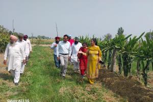 ਪੰਜਾਬ - ਨਾਬਾਰਡ ਵੱਲੋਂ ਵਿੱਤਪੋਸ਼ਿਤ ਪ੍ਰੋਜੈਕਟ  ਦੇ ਤਹਿਤ ਕਿਸਾਨਾਂ ਦਾ ਇੱਕ ਐਕਸਪੋਜ਼ਰ ਦੌਰਾ