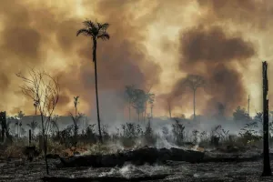 ਜੰਗਲਾਂ ਨੂੰ ਅੱਗ ਲਗਾਈ ਤਾਂ ਖੈਰ ਨਹੀਂ: ਪ੍ਰਸ਼ਾਸਨ ਹੋਇਆ ਸਖ਼ਤ