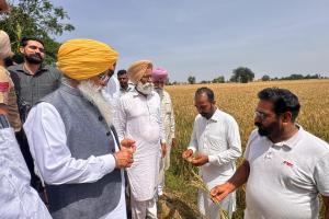 ਖੇਤੀਬਾੜੀ ਮੰਤਰੀ ਨੇ ਪਿੰਡ ਚੰਨੂ ਵਿਖੇ ਹੋਏ ਫਸਲਾਂ ਦੇ ਨੁਕਸਾਨ ਦਾ ਲਿਆ ਜਾਇਜ਼ਾ