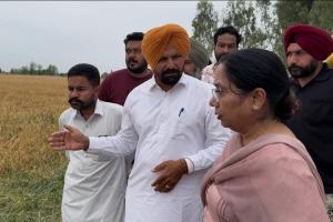 ਕੈਬਨਿਟ ਮੰਤਰੀ ਡਾ. ਬਲਜੀਤ ਕੌਰ ਨੇ ਗੜ੍ਹੇਮਾਰੀ ਨਾਲ ਹੋਏ ਨੁਕਸਾਨ ਦਾ ਲਿਆ ਜਾਇਜ਼ਾ