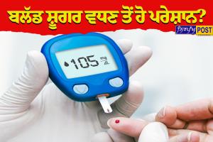 ਸ਼ੂਗਰ ਨੂੰ ਜੜ੍ਹ ਤੋਂ ਕੰਟਰੋਲ ਕਰਨਗੇ ਇਹ ਦੇਸੀ ਘਰੇਲੂ ਉਪਾਅ, ਅੱਜ ਤੋਂ ਹੀ ਸ਼ੁਰੂ ਕਰੋ ਇਹ ਪਰਹੇਜ਼