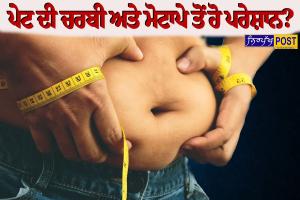 ਪੇਟ ਦੀ ਚਰਬੀ ਅਤੇ ਮੋਟਾਪੇ ਤੋਂ ਹੋ ਪਰੇਸ਼ਾਨ? ਅਜ਼ਮਾਓ ਇਹ 5 ਸੌਖੇ ਘਰੇਲੂ ਨੁਸਖ਼ੇ, ਦਿਨਾਂ 'ਚ ਦਿਖੇਗਾ ਅਸਰ!