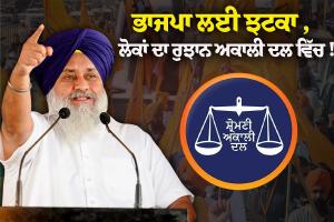 ਪੰਜਾਬ ਦੀ ਸਿਆਸਤ 'ਚ ਭੂਚਾਲ! ਕਈ ਦਿੱਗਜ ਆਗੂਆਂ ਨੇ ਫੜਿਆ ਅਕਾਲੀ ਦਲ ਦਾ ਪੱਲਾ, ਦੇਖੋ ਕੌਣ-ਕੌਣ ਹੋਇਆ ਸ਼ਾਮਿਲ?
