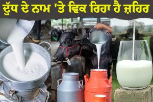 ਦੁੱਧ ਦੇ ਨਾਮ 'ਤੇ ਵਿਕ ਰਿਹਾ ਹੈ ਜ਼ਹਿਰ