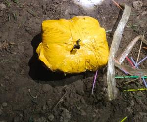 ਅੰਮ੍ਰਿਤਸਰ ਵਿੱਚ ਡਰੋਨ ਰਾਹੀਂ ਭੇਜੀ 12 ਕਿਲੋਗ੍ਰਾਮ ਹੈਰੋਇਨ ਦੀ ਖੇਪ ਬਰਾਮਦ