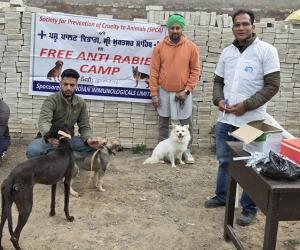 ਹਲਕਾਅ ਤੋਂ ਬਚਾਅ ਲਈ ਕੁੱਤਿਆਂ ਨੂੰ ਕੀਤਾ ਗਿਆ ਮੁਫਤ ਟੀਕਾਕਰਨ   