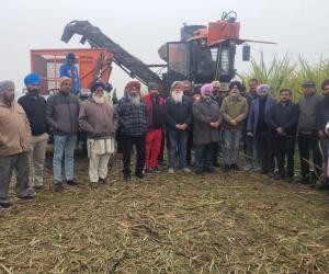 ਸ਼ੂਗਰਕੇਨ ਹਾਰਵੈਸਟਰ ਨਾਲ ਕਟਾਈ ਕਰਨ ਲਈ ਚੌੜੀ ਵਿੱਥ ਵਿਧੀ ਨਾਲ ਗੰਨੇ ਦੀ ਬਿਜਾਈ ਕਰਨ ਦੀ ਜ਼ਰੂਰਤ: ਕੇਨ ਕਮਿਸ਼ਨਰ