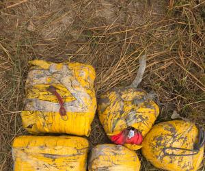 ਅੰਮ੍ਰਿਤਸਰ ਵਿੱਚ 20 ਕਿਲੋਗ੍ਰਾਮ ਹੈਰੋਇਨ ਬਰਾਮਦ, ਮੁੱਖ ਸੰਚਾਲਕ ਸਮੇਤ ਚਾਰ ਮੁਲਜ਼ਮ ਗ੍ਰਿਫਤਾਰ