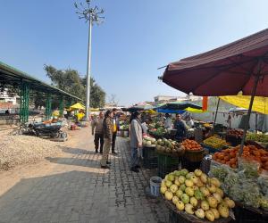 ਸੁਨਾਮ ਦੇ ਵੱਖ-ਵੱਖ ਇਲਾਕਿਆਂ 'ਚ ਬਾਲ ਭਿੱਖਿਆ ਵਿਰੁੱਧ ਕੀਤੀ ਚੈਕਿੰਗ