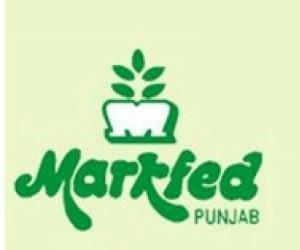 ਮਿਲਕਫੈੱਡ ਪੰਜਾਬ ਵੱਲੋਂ ਦੁੱਧ ਦੀ ਖਰੀਦ ਕੀਮਤ ਵਿੱਚ ਵਾਧਾ