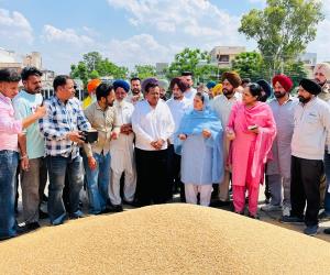ਵਿਧਾਇਕ ਸ੍ਰੀਮਤੀ ਨਰਿੰਦਰ ਕੌਰ ਭਰਾਜ ਨੇ ਅਨਾਜ ਮੰਡੀ ਭਵਾਨੀਗੜ੍ਹ ਵਿਖੇ ਕਣਕ ਦੀ ਖਰੀਦ ਕਰਵਾਈ ਸ਼ੁਰੂ