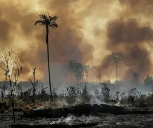 ਜੰਗਲਾਂ ਨੂੰ ਅੱਗ ਲਗਾਈ ਤਾਂ ਖੈਰ ਨਹੀਂ: ਪ੍ਰਸ਼ਾਸਨ ਹੋਇਆ ਸਖ਼ਤ