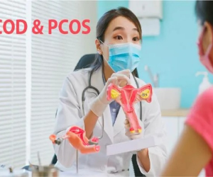 ਪੀਸੀਓਡੀ ਅਤੇ ਪੀਸੀਓਐਸ (PCOD/PCOS): ਲੱਛਣ, ਕਾਰਨ ਅਤੇ ਠੀਕ ਕਰਨ ਦੇ ਸਭ ਤੋਂ ਕਾਰਗਰ ਦੇਸੀ ਨੁਸਖੇ