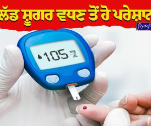 ਸ਼ੂਗਰ ਨੂੰ ਜੜ੍ਹ ਤੋਂ ਕੰਟਰੋਲ ਕਰਨਗੇ ਇਹ ਦੇਸੀ ਘਰੇਲੂ ਉਪਾਅ, ਅੱਜ ਤੋਂ ਹੀ ਸ਼ੁਰੂ ਕਰੋ ਇਹ ਪਰਹੇਜ਼
