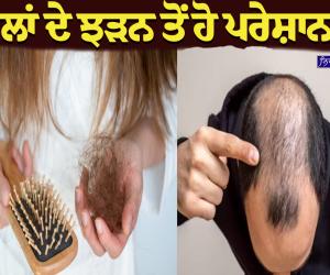 ਵਾਲਾਂ ਦੇ ਝੜਨ ਤੋਂ ਹੋ ਪਰੇਸ਼ਾਨ? ਅਪਣਾਓ ਇਹ 5 ਕੁਦਰਤੀ ਤਰੀਕੇ, ਵਾਲ ਹੋਣਗੇ ਲੰਬੇ, ਕਾਲੇ ਅਤੇ ਘਣੇ