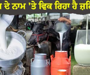 ਦੁੱਧ ਦੇ ਨਾਮ 'ਤੇ ਵਿਕ ਰਿਹਾ ਹੈ ਜ਼ਹਿਰ